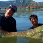 【巨大魚釣り画像】怪魚ハンター山根ブラザーズの捕獲写真がすごい！